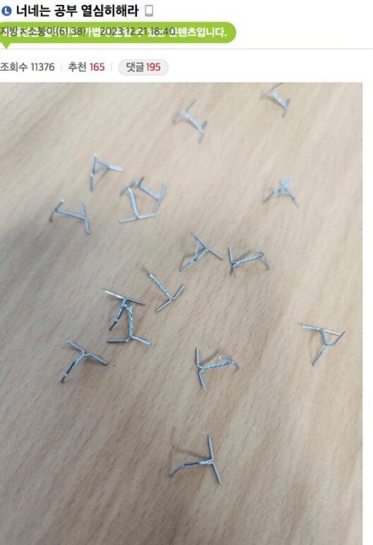 너네는 공부 열심히해라_1.jpg