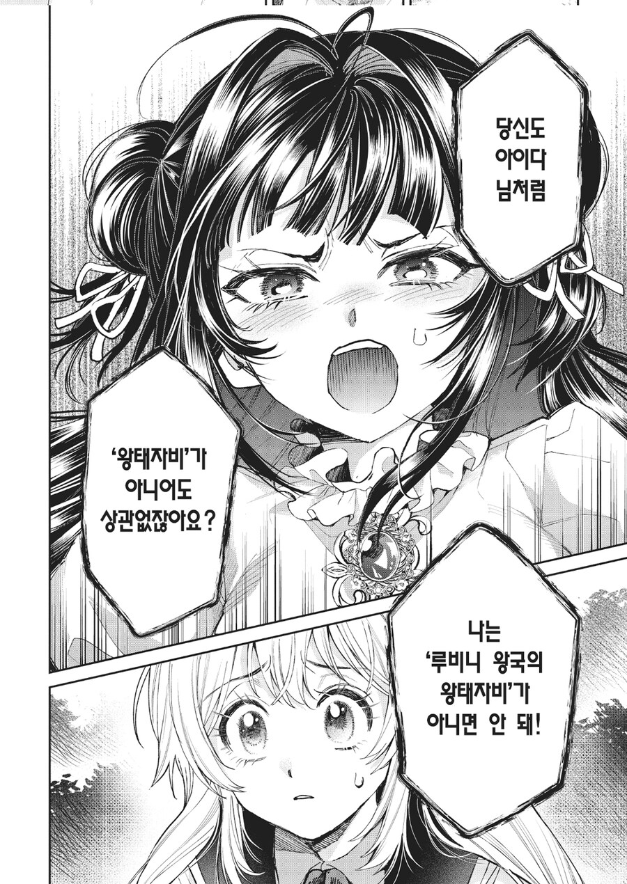 뇌없는 황자와 황녀_13.jpg