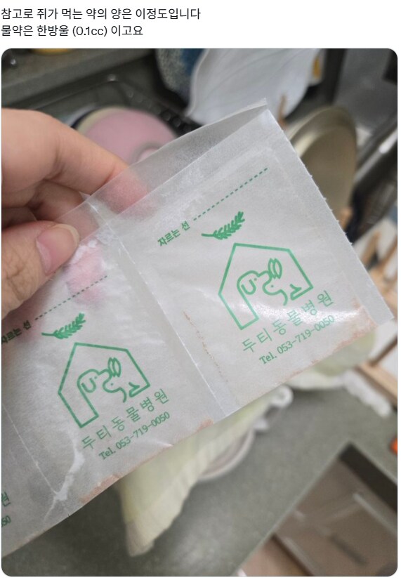 애완 생쥐가 먹는 약, 코끼리가 1번에 먹는 약_1.png