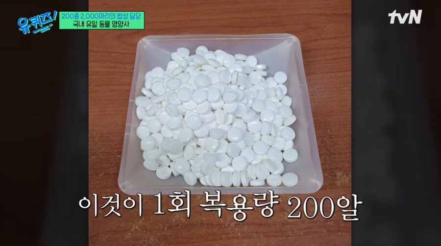 애완 생쥐가 먹는 약, 코끼리가 1번에 먹는 약_2.jpg