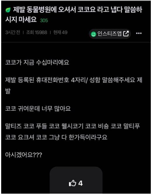 코코를 부르지 마세요.jpg_1.png