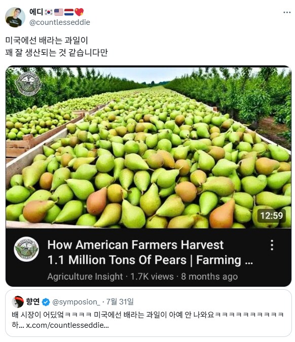 배(ship)를 배(pear)로 착각한 대환장쇼.jpg_2.png