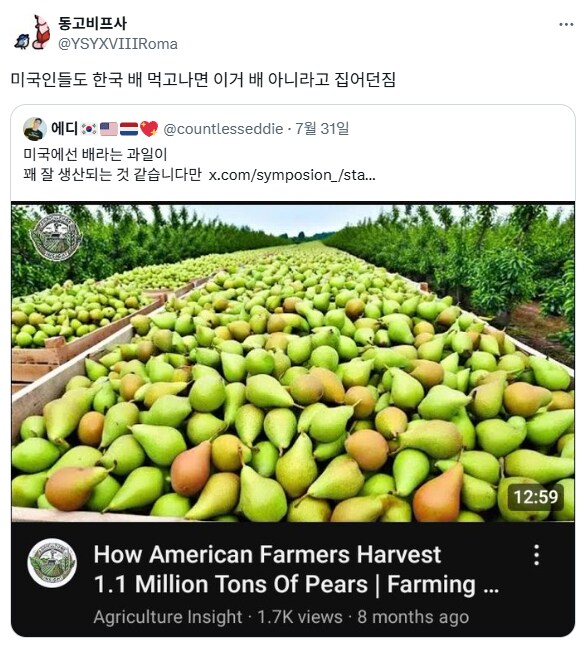 배(ship)를 배(pear)로 착각한 대환장쇼.jpg_4.png