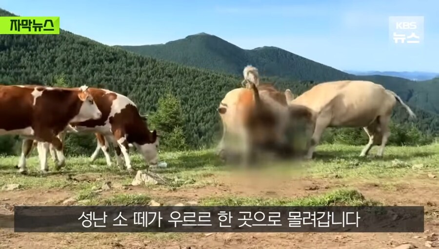 정의 구현 의 현장_1.jpg
