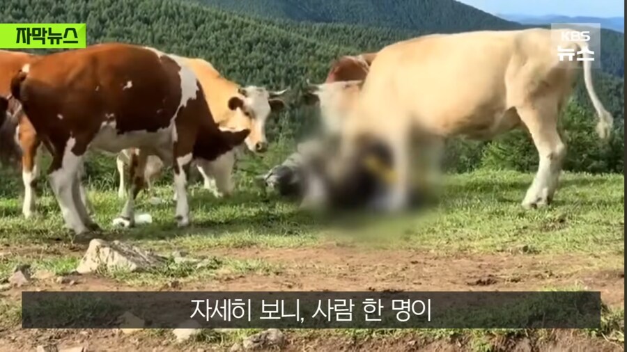 정의 구현 의 현장_2.jpg