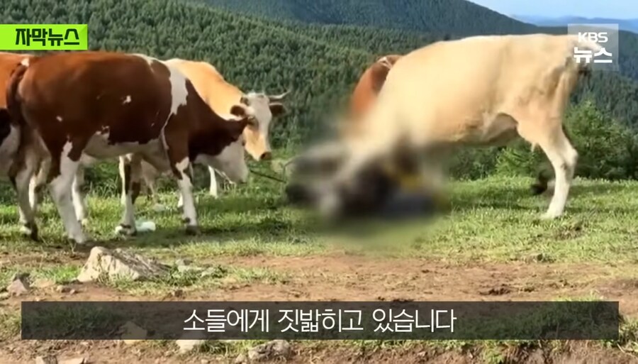 정의 구현 의 현장_3.jpg