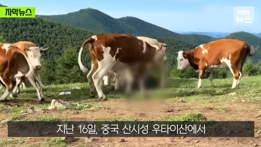 정의 구현 의 현장_4.jpg