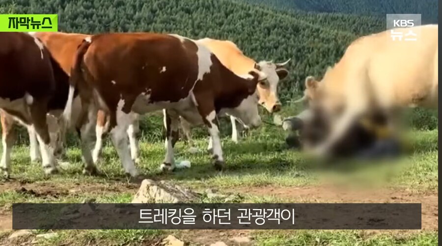 정의 구현 의 현장_5.jpg