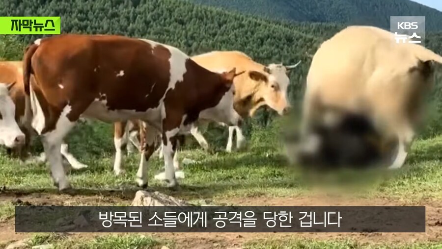정의 구현 의 현장_6.jpg
