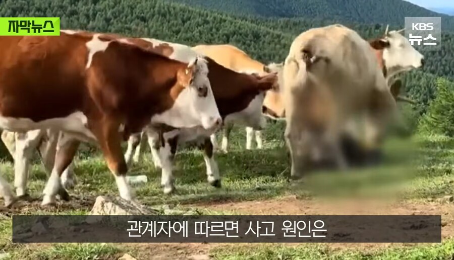 정의 구현 의 현장_7.jpg