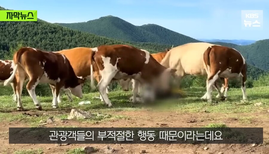 정의 구현 의 현장_8.jpg