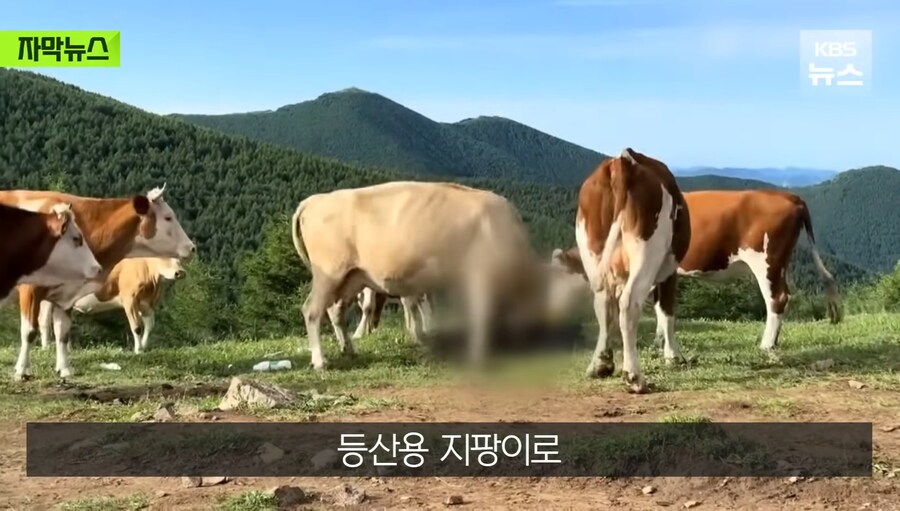 정의 구현 의 현장_9.jpg