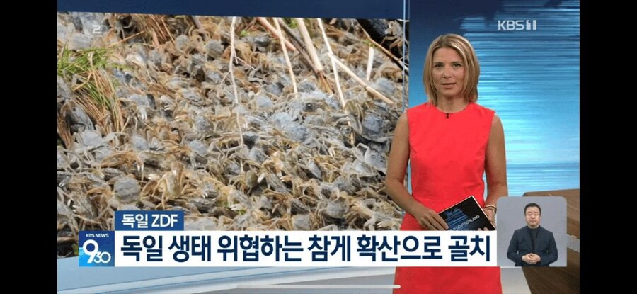 잡아서 우리줘!!!아니 팔아줘!!!제발_1.jpg