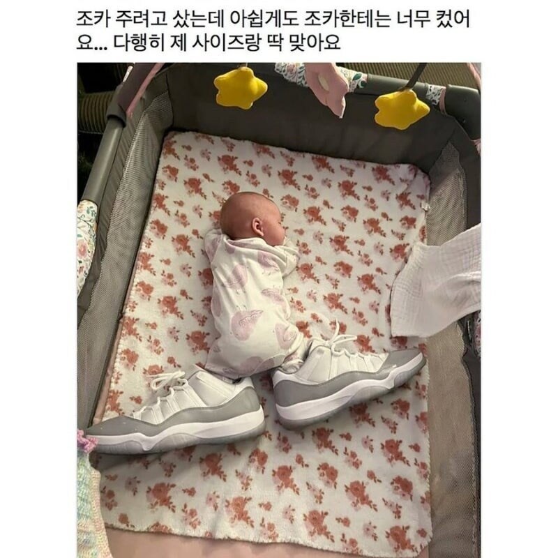 조카 주려고 샀다고_1.jpg