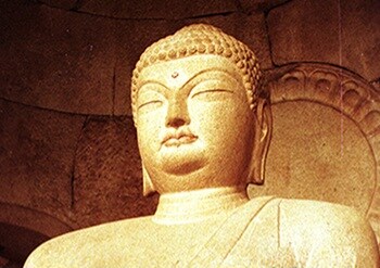 네가