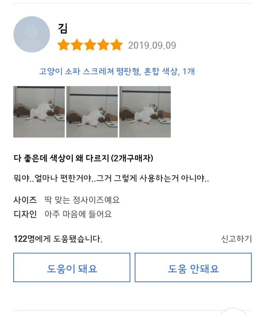 고양이 소파 리뷰 후기.jpg_1.jpg