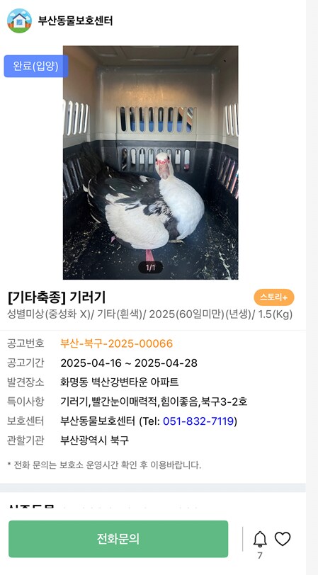 입양(완료).jpg_1.png