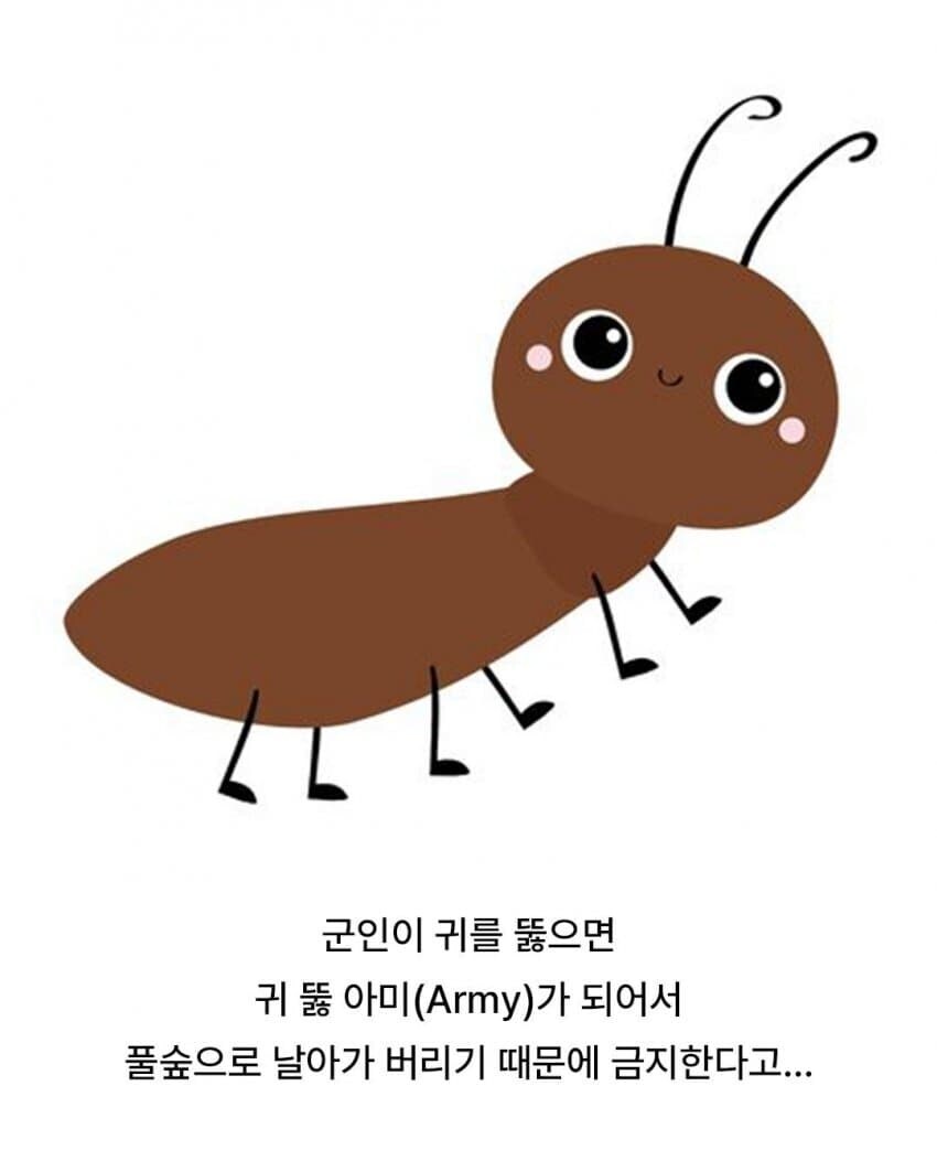 군인이 귀 뚫으면 안되는 이유(진심 충격적임 ㄷㄷ)_3.jpg