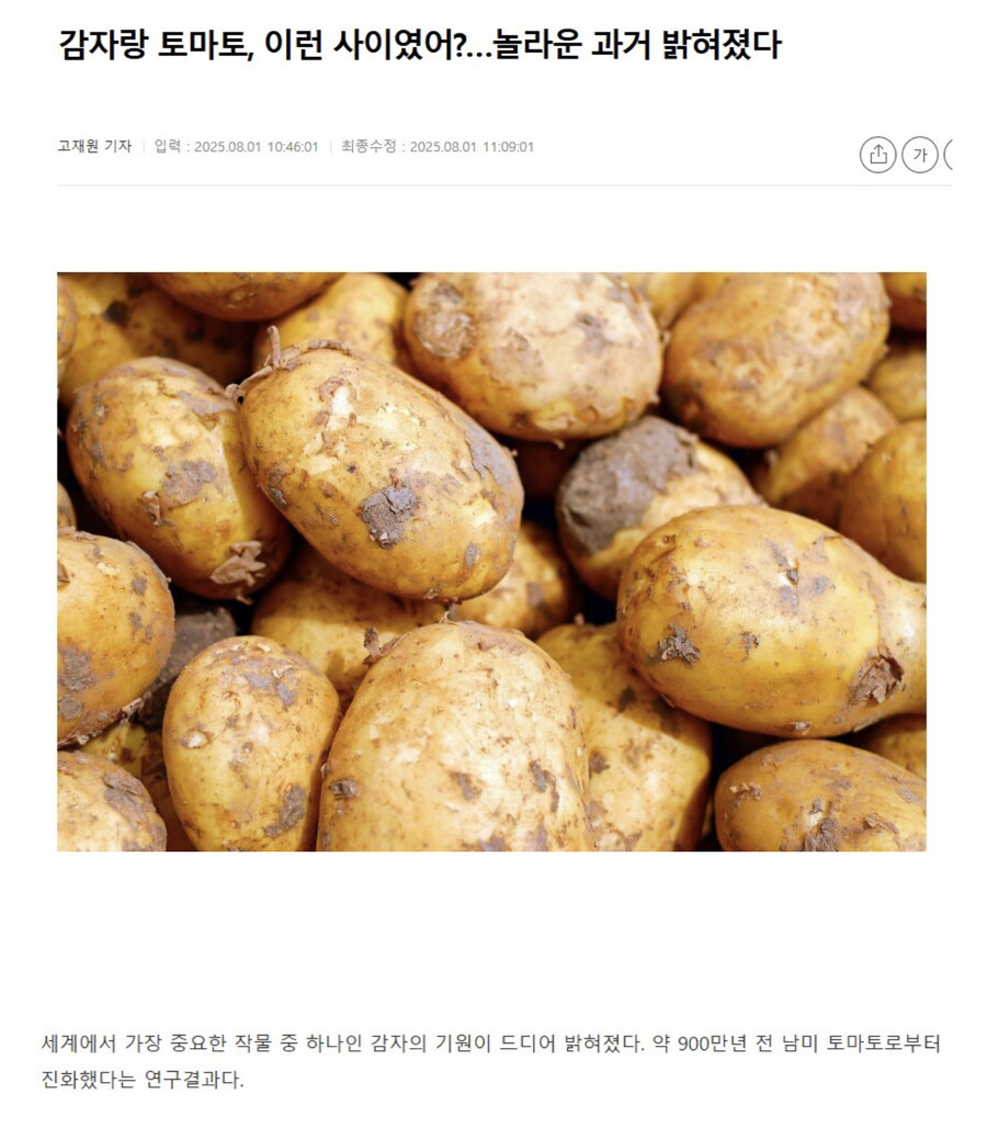 옛날 사람들이 토마토 먹으면 뒤진다고 했던게 마냥 헛소리가 아닌 이유_1.jpg