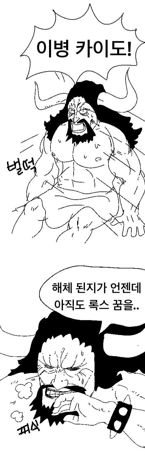 원피스 카이도의 악몽_1.jpg