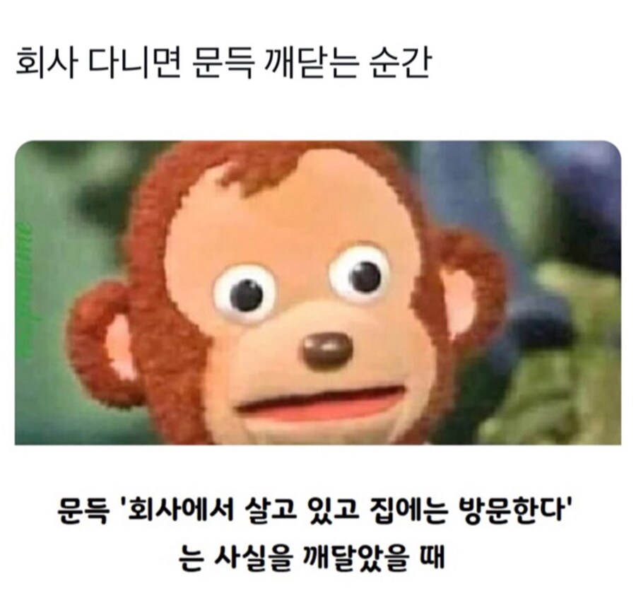 회사원이 근무중 문득 깨달은거.jpg_1.jpg