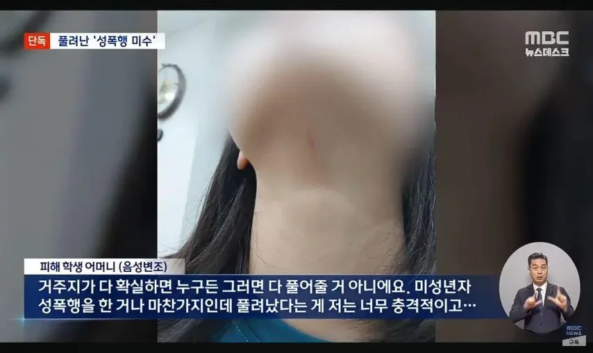여고생 성폭행 하려던 대학원생 구속영장 기각.jpg_7.webp