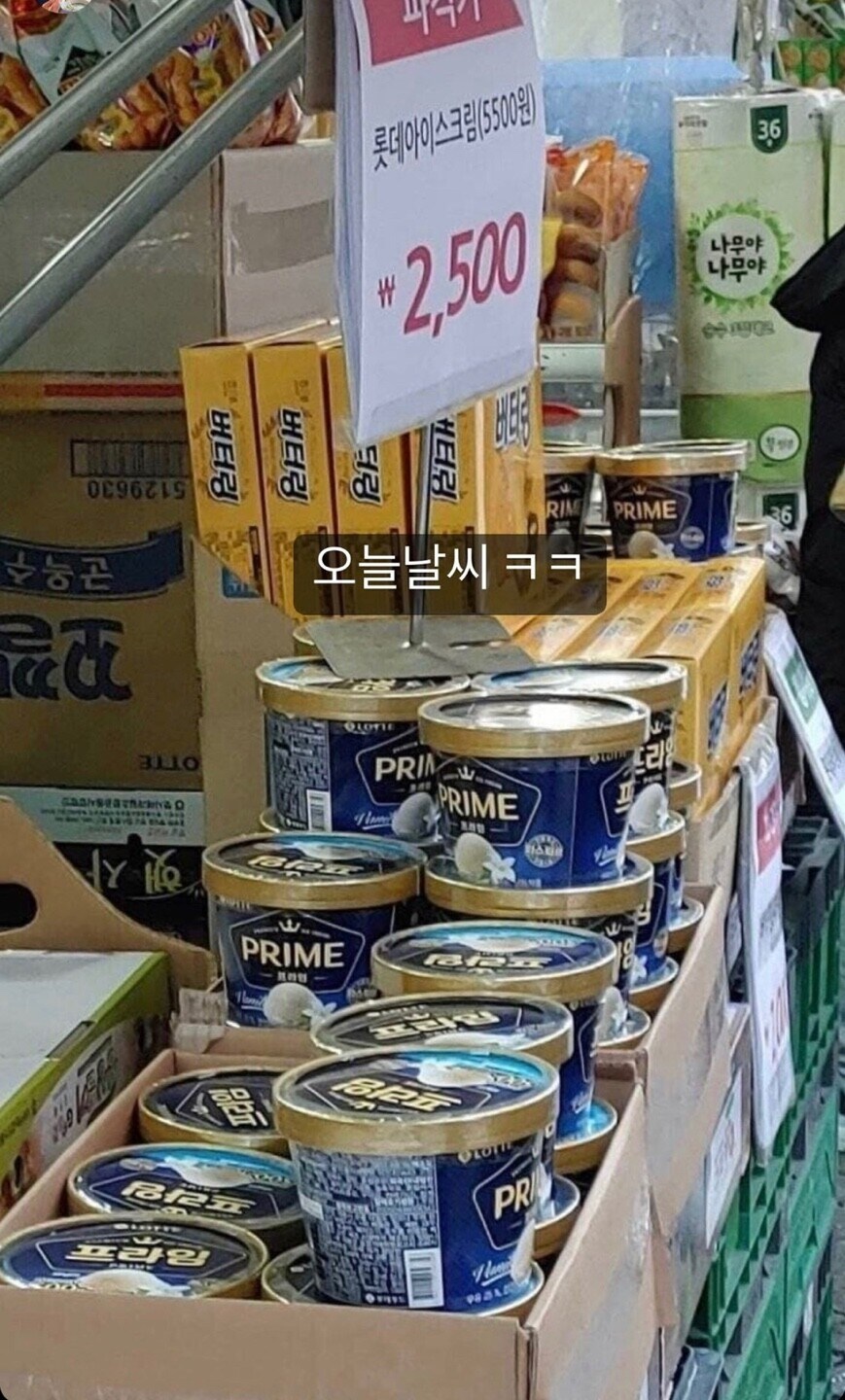 어느 겨울, 푱화로운 대한민국의 하루_1.jpg