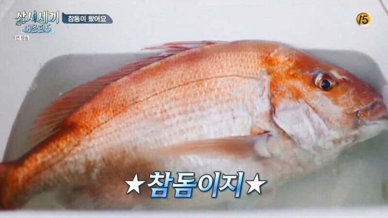삼시세끼에서 낚시로 뭘 잡지 못해서 차승원한테 미안했던 유해진의 최후_23.jpg