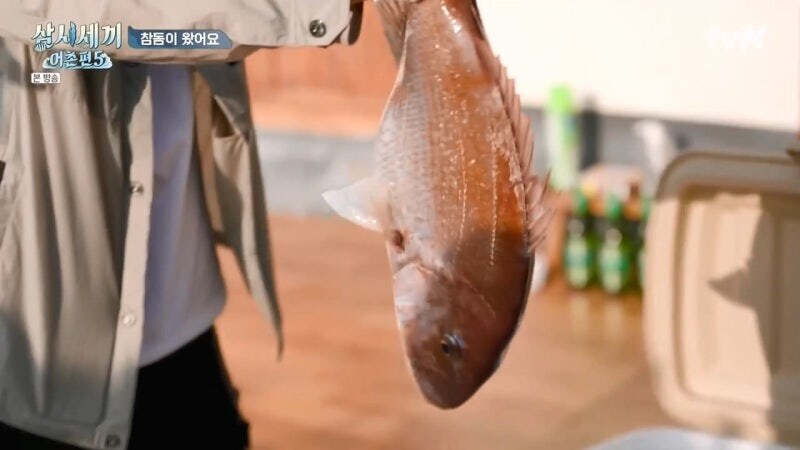 삼시세끼에서 낚시로 뭘 잡지 못해서 차승원한테 미안했던 유해진의 최후_29.jpg