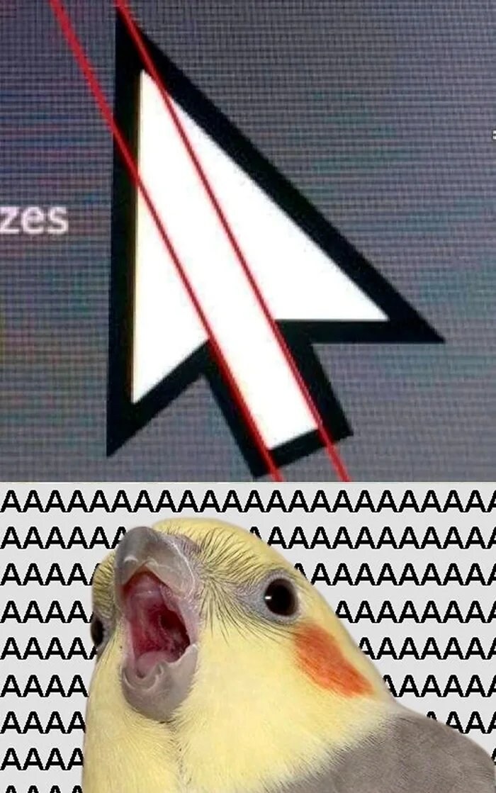마우스 화살표의 진실.jpg_1.jpg