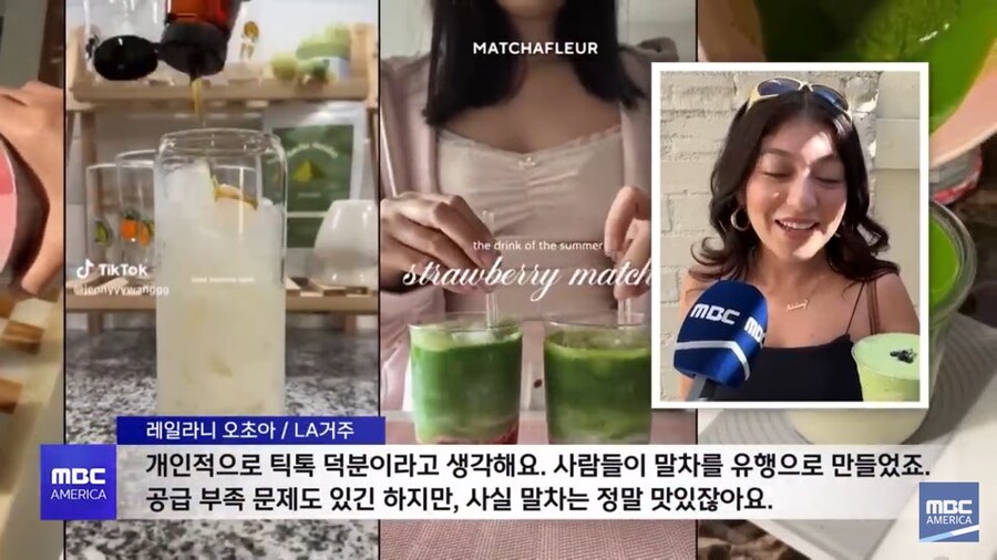미국 말차 유행으로 반사이익을 보고 있다는 곳_7.jpg