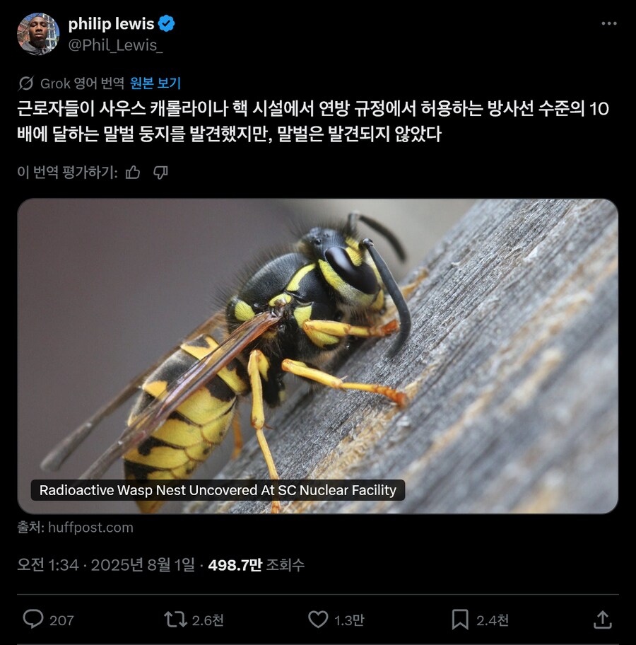 미국에서 방사선이 검출된 말벌둥지 발견_1.png
