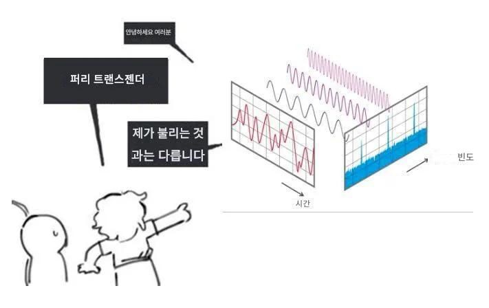 퍼리 tf (아님)_1.jpg