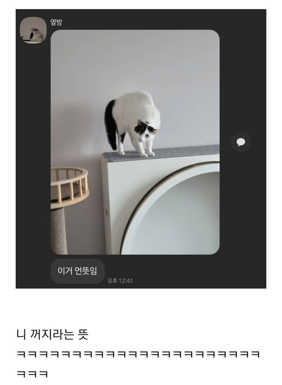 고알못 동생의 카톡.jpg_1.jpg