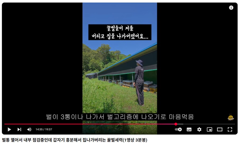 프응) 3 연벙...._1.png