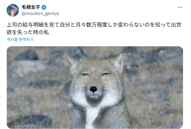 상사의 급여명세서를 봤을 때 표정.jpg_1.png