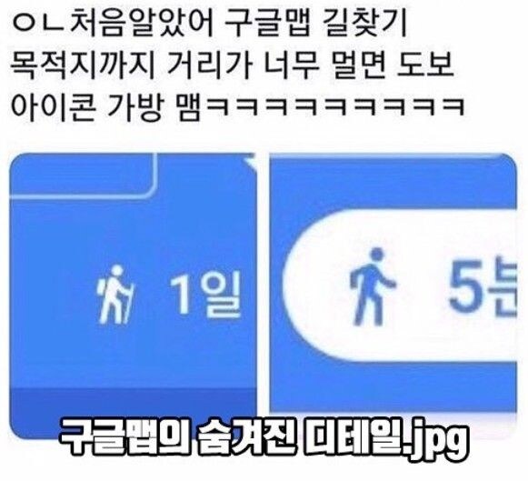 구글맵 길찾기 목적지가 너무 멀때 이스터에그.jpg_1.jpg