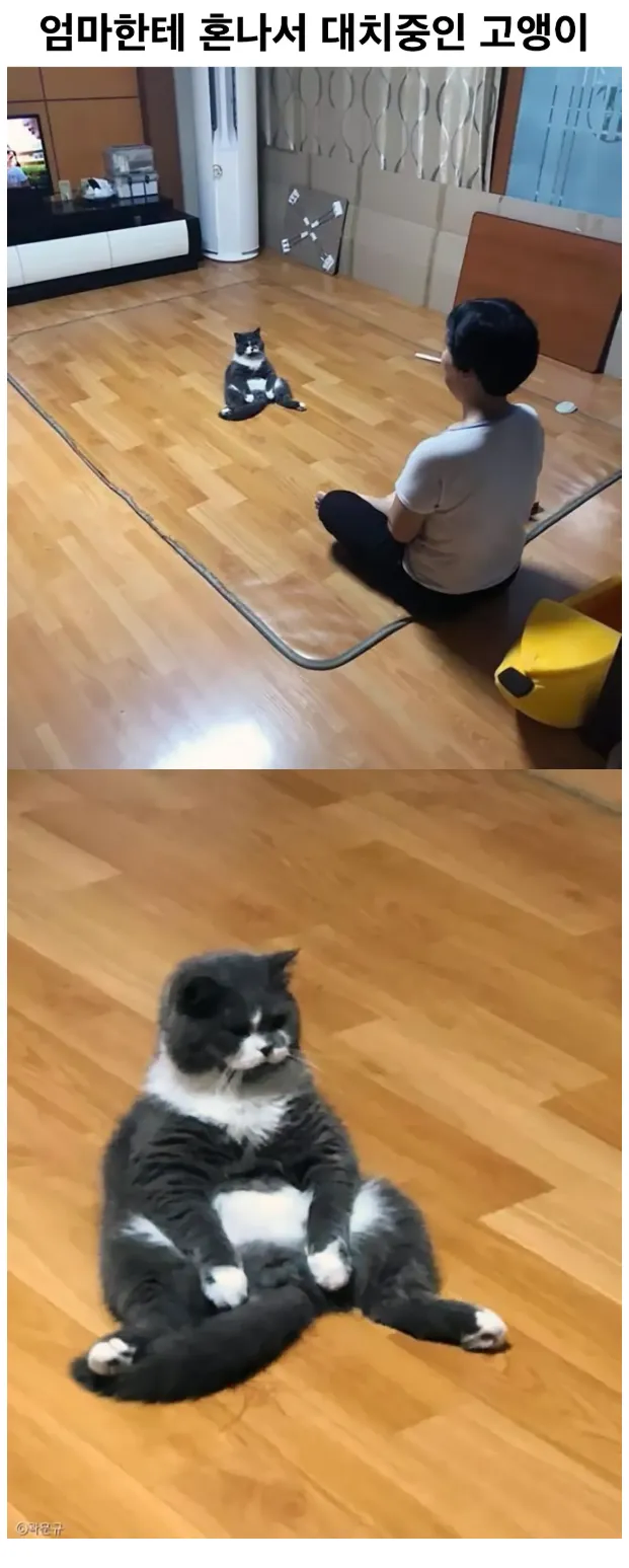 ? : 너 지금 혼나는데 자세가 그게 뭐야?!_1.webp