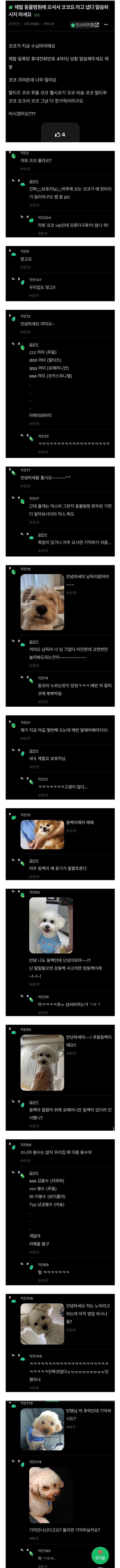 동물 병원에 와서 강아지 이름만 말씀하시지 마세요_1.jpg
