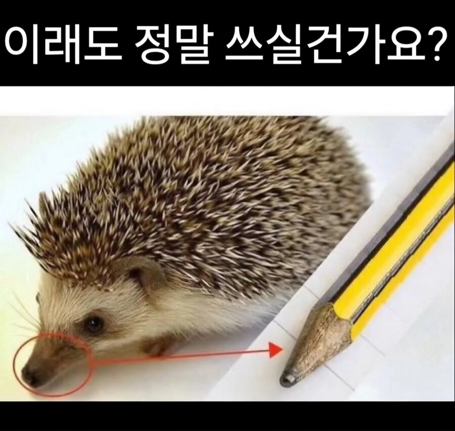 인간의 이기심.jpg_1.jpg