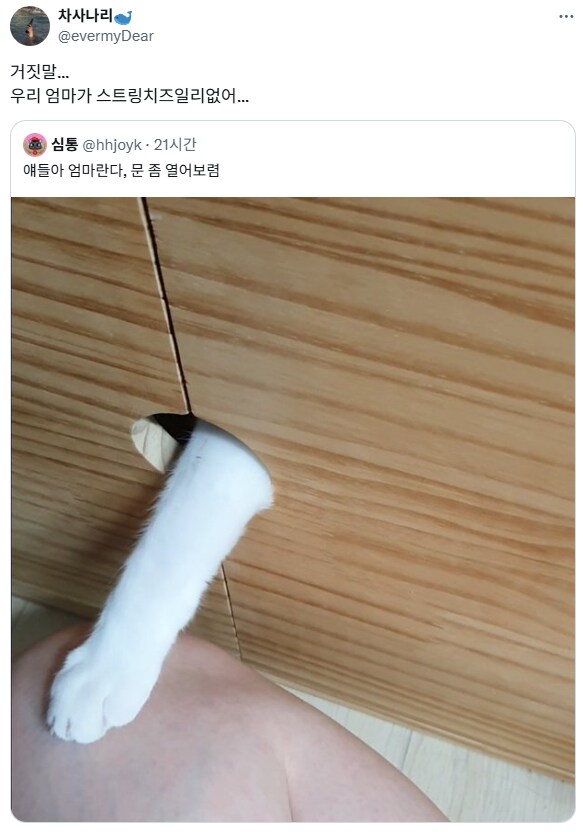 ??? : 얘들아 엄마란다, 문 좀 열어보렴_1.png