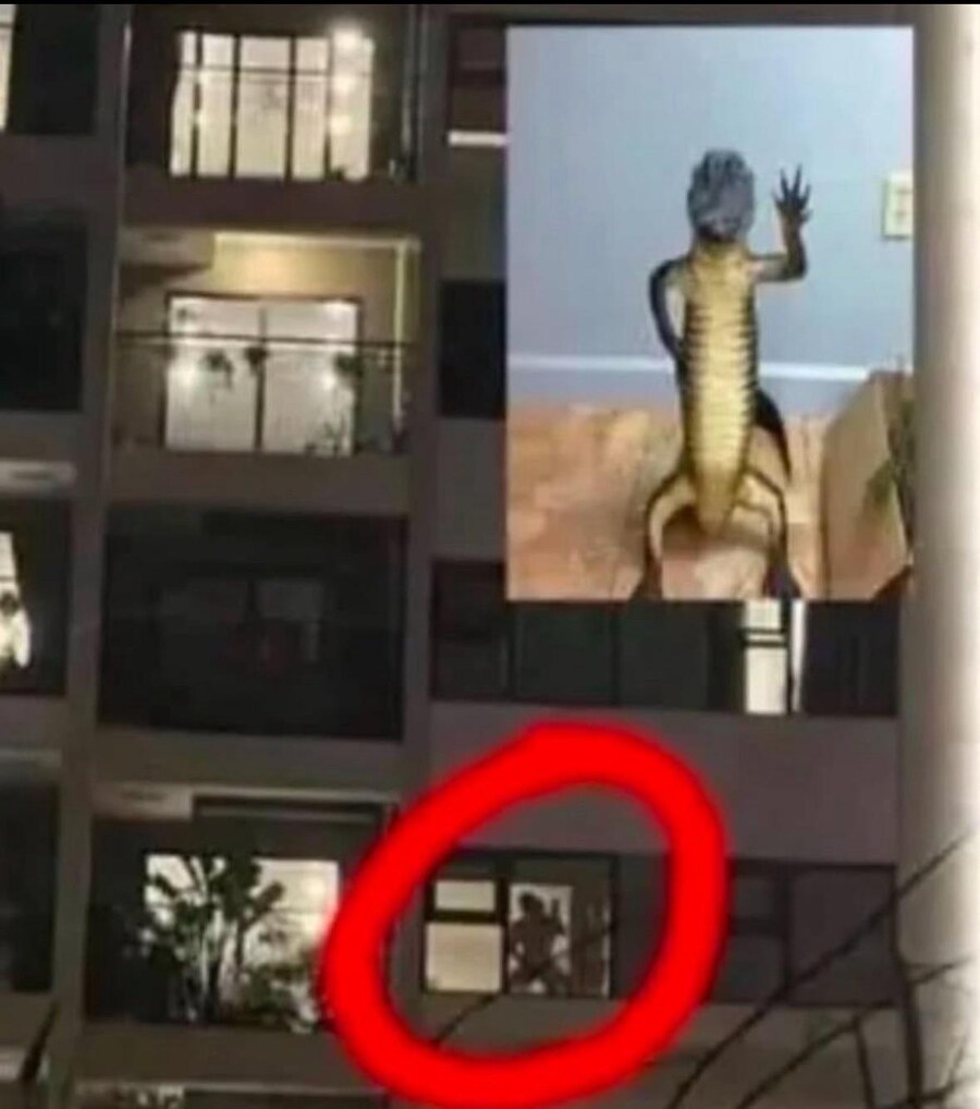 충격) 랩틸리언 발견_1.jpg