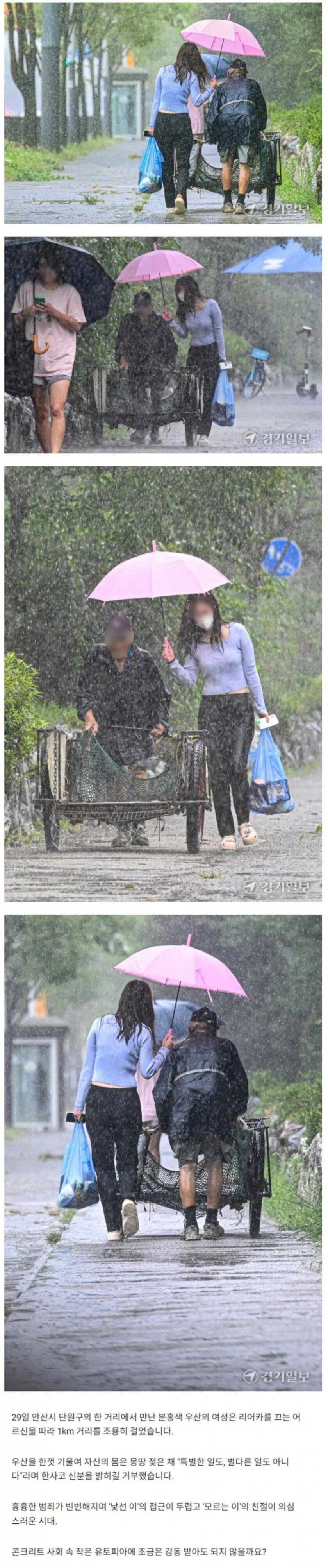 비에 몸이 반쯤 젖은 아름다운 여자_1.jpg