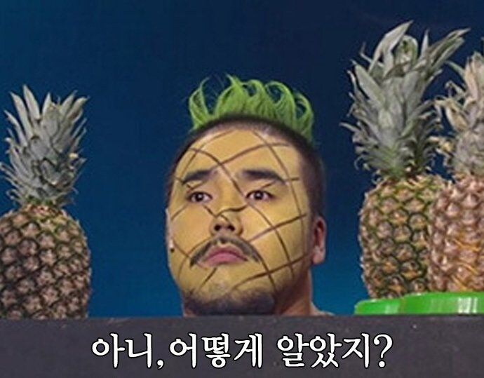 개그맨으로서 성공 했는지 의견 갈리는 사람.jpg_3.jpg