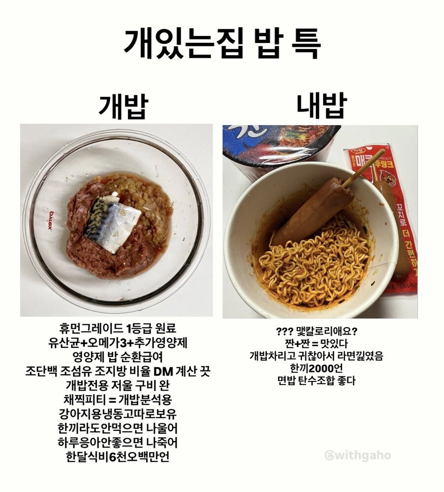 댕댕이를 키우는 집의 밥을 살펴보자_1.jpg