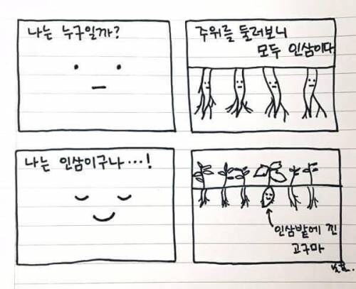 나는 고구마_1.jpg