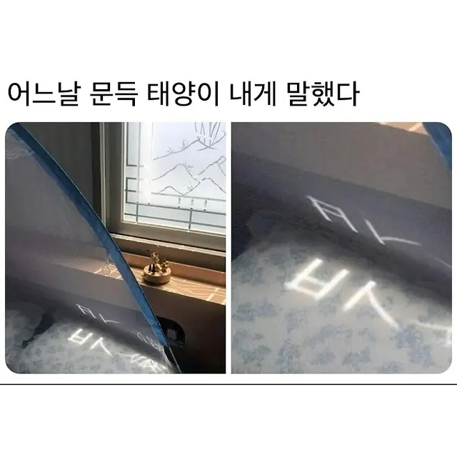 어느날 문뜩 태양이 내게 말했다._1.webp