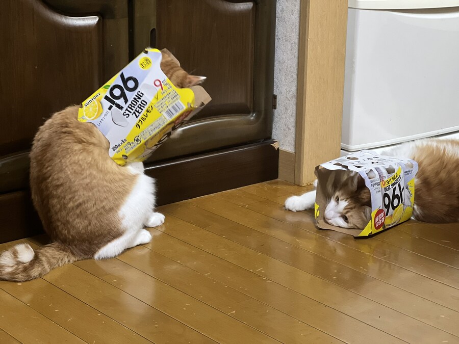 술 마시고 남은 것.jpg_1.jpg