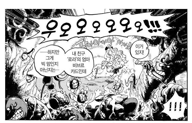 원피스 빅맘 비브르 카드의 가치_1.jpg