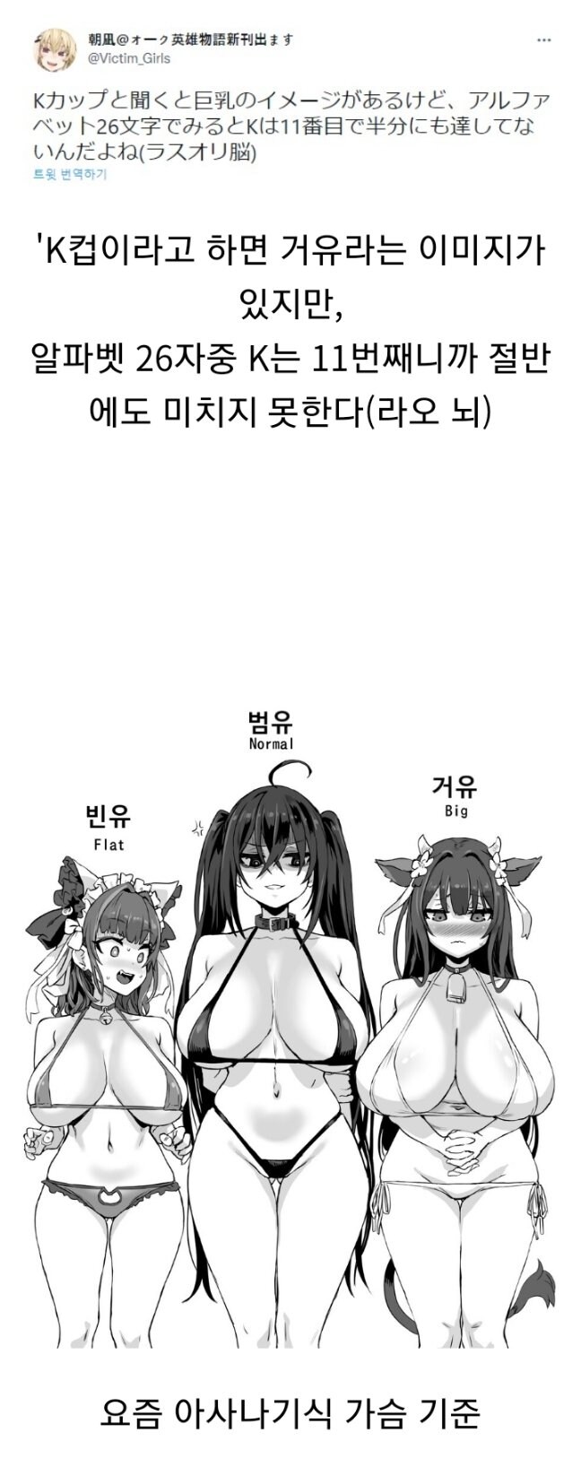 아사나기식 가슴 크기 기준_1.jpg
